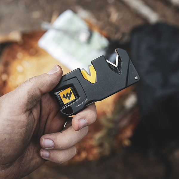 WSEDCPVP-I