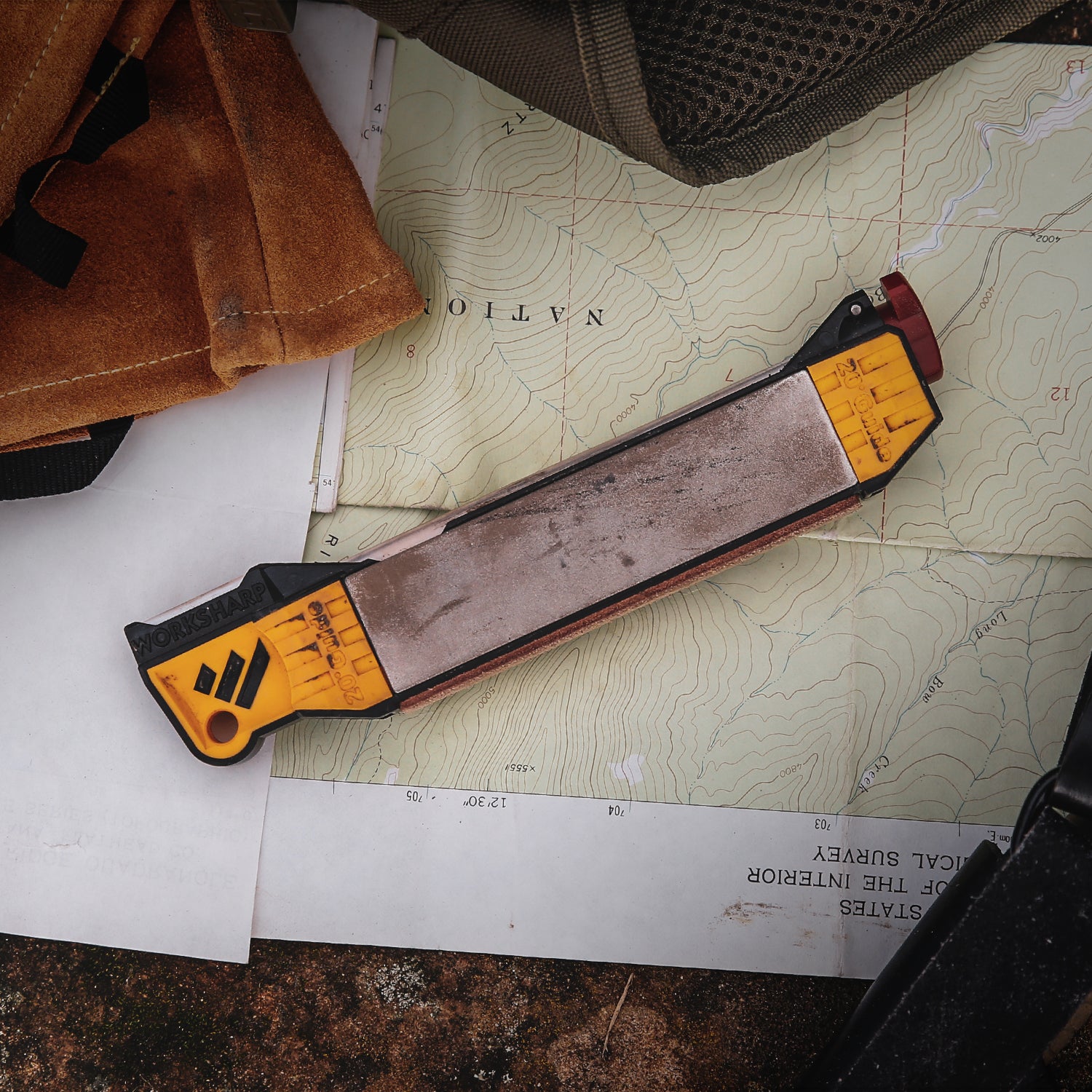 WSSA0003545